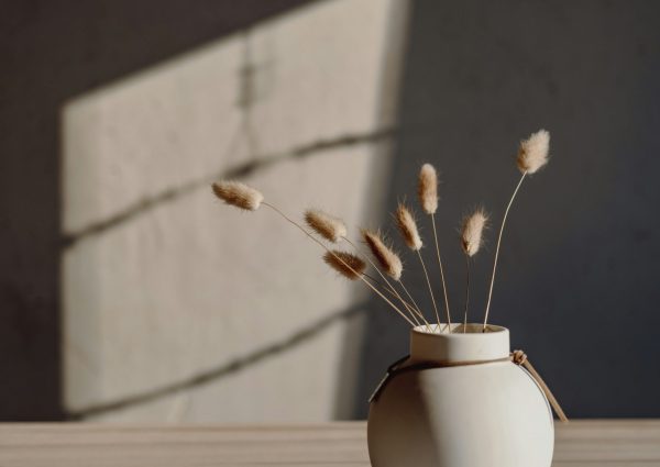 patrick-langwallner-QYRL3N0bSX8-unsplash